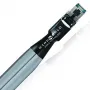 Lan-кабель Wireworld Platinum Starlight 8 Twinax Ethernet Cable 2.0, 1 м (PSE1.0M-8)